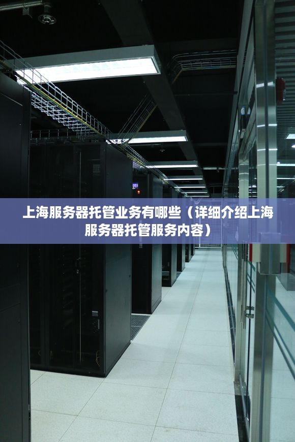 上海服务器托管业务有哪些（详细介绍上海服务器托管服务内容）