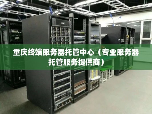 重庆终端服务器托管中心（专业服务器托管服务提供商）