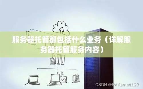 全托管独立服务器（服务器托管是什么）