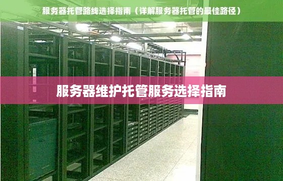 服务器维护托管服务选择指南