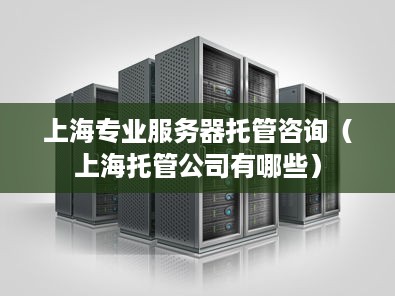 上海专业服务器托管咨询（上海托管公司有哪些）
