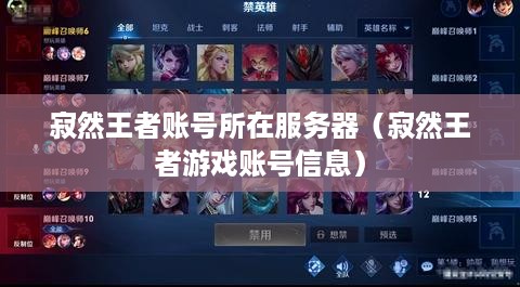 寂然王者账号所在服务器（寂然王者游戏账号信息）