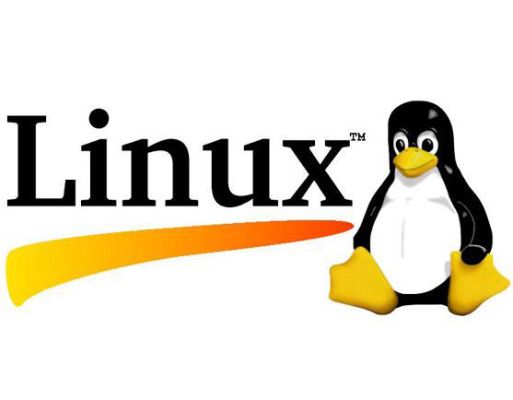 Linux哪个版本适合当服务器（选择最适合企业服务器的Linux发行版）
