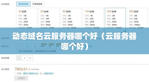 动态域名云服务器哪个好（云服务器哪个好）