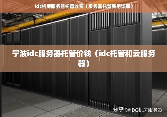 宁波idc服务器托管价钱（idc托管和云服务器）
