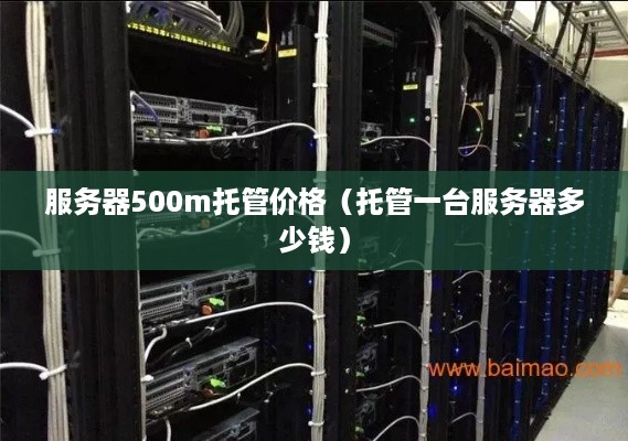 服务器500m托管价格（托管一台服务器多少钱）