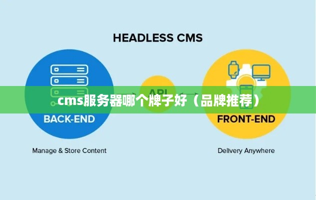 cms服务器哪个牌子好（品牌推荐）