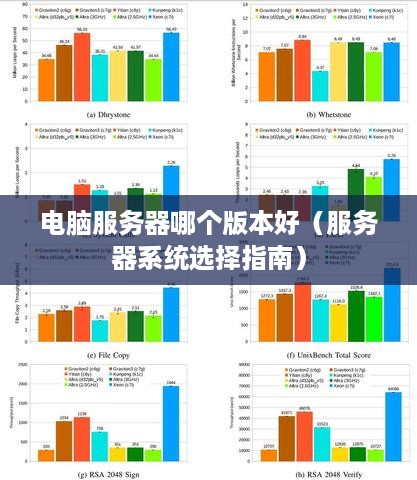 电脑服务器哪个版本好（服务器系统选择指南）