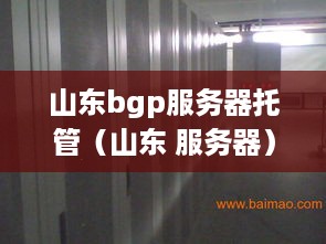 山东bgp服务器托管（山东 服务器）