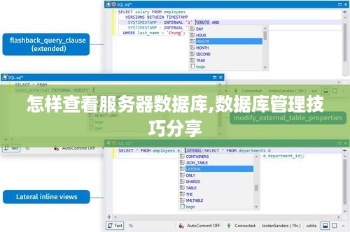 怎样查看服务器数据库,数据库管理技巧分享