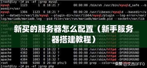 新买的服务器怎么配置（新手服务器搭建教程）