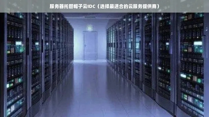 江苏idc服务器托管（idc托管和云服务器）