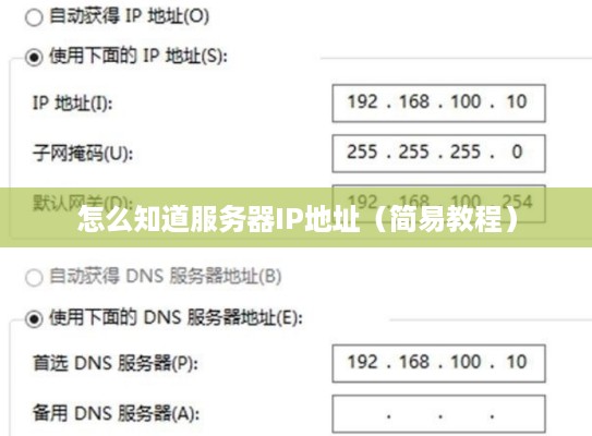 怎么知道服务器IP地址（简易教程）