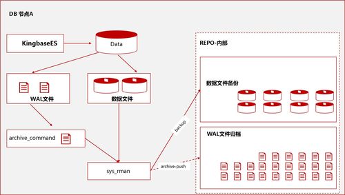 物理带库与备份服务器连接步骤详解，物理带库设置指南