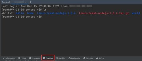 怎么连linux服务器（从零开始学习连接Linux服务器的方法）