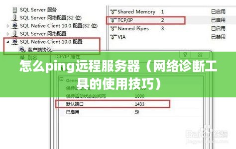怎么ping远程服务器（网络诊断工具的使用技巧）