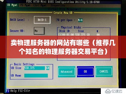 卖物理服务器的网站有哪些（推荐几个知名的物理服务器交易平台）