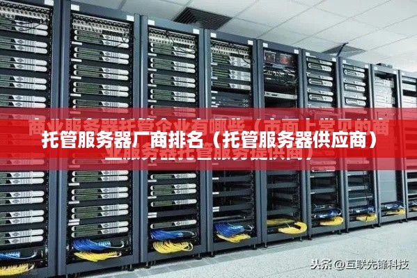 托管服务器厂商排名（托管服务器供应商）