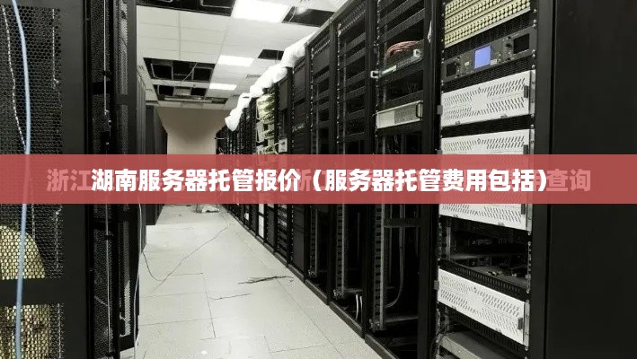 湖南服务器托管报价（服务器托管费用包括）