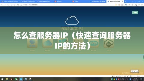 怎么查服务器IP（快速查询服务器IP的方法）