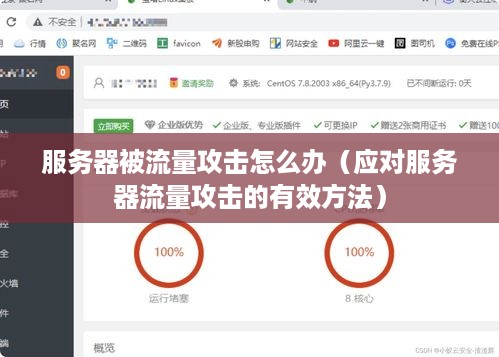 服务器被流量攻击怎么办（应对服务器流量攻击的有效方法）
