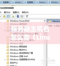 服务器主机名怎么查（Linux和Windows主机名查看方法）