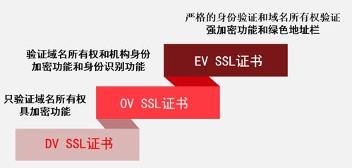 怎么看服务器类型的,服务器类型及其特点详解