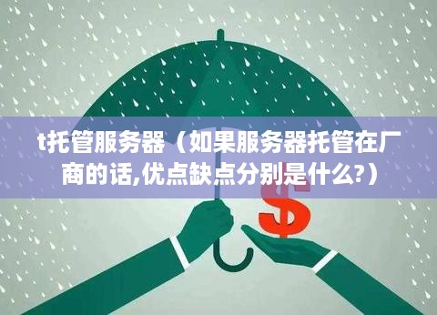 t托管服务器（如果服务器托管在厂商的话,优点缺点分别是什么?）