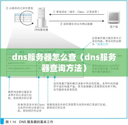 dns服务器怎么查（dns服务器查询方法）