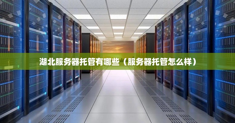 湖北服务器托管有哪些（服务器托管怎么样）