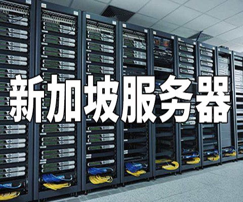 中国最大高速服务器是哪个（详解国内高速服务器市场）