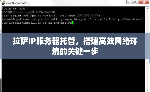 拉萨IP服务器托管，搭建高效网络环境的关键一步