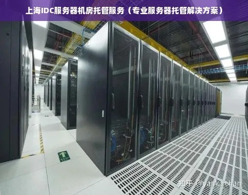 上海热线服务器托管，为您的业务提供稳定高效的IT解决方案