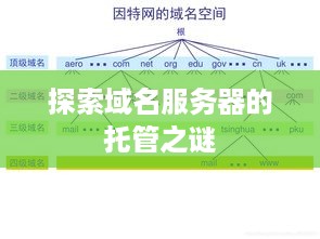 探索域名服务器的托管之谜