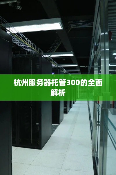 杭州服务器托管300的全面解析