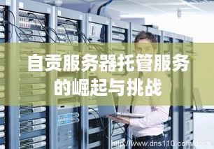 自贡服务器托管服务的崛起与挑战