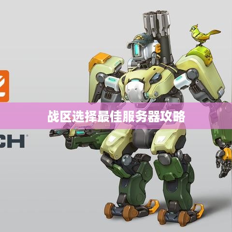 战区选择最佳服务器攻略