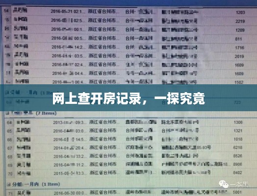 网上查开房记录，一探究竟