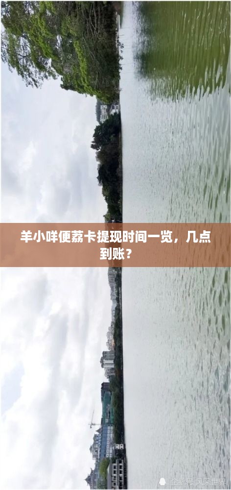 羊小咩便荔卡提现时间一览，几点到账？