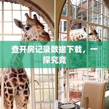 查开房记录数据下载，一探究竟
