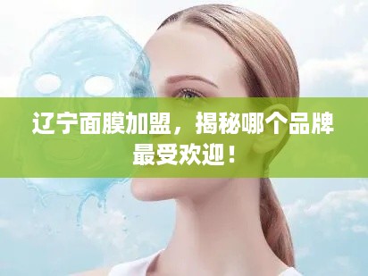 辽宁面膜加盟，揭秘哪个品牌最受欢迎！