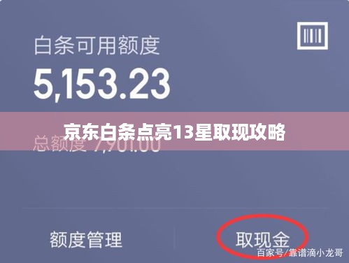 京东白条点亮13星取现攻略