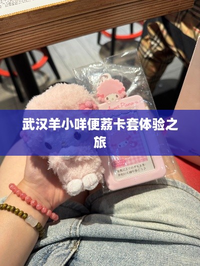 武汉羊小咩便荔卡套体验之旅