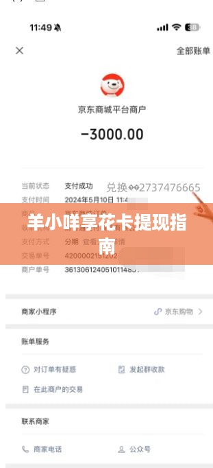 羊小咩享花卡提现指南