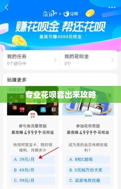 专业花呗套出来攻略
