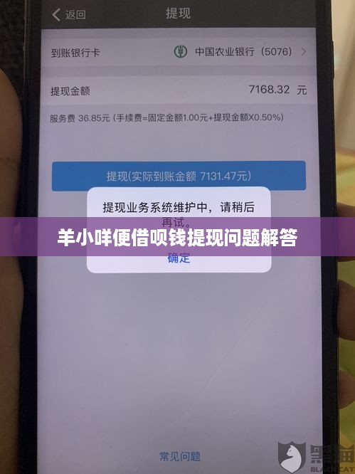 羊小咩便借呗钱提现问题解答