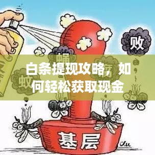 白条提现攻略，如何轻松获取现金