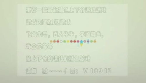白条不可提现，揭示背后的风险与真相