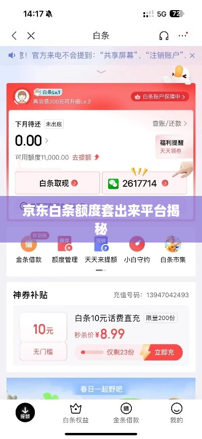 京东白条额度套出来平台揭秘
