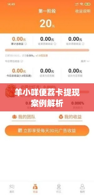 羊小咩便荔卡提现案例解析